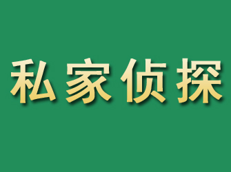 东河市私家正规侦探